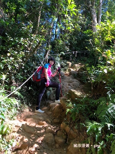 【桃園大溪】古樸山徑綠意盎然。 No23小百岳~溪洲山 57