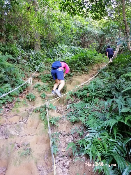 【桃園龍潭】令人崩潰的好漢坡。 No24小百岳~石門山 55