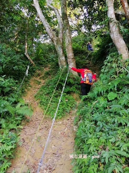 【桃園龍潭】令人崩潰的好漢坡。 No24小百岳~石門山 55