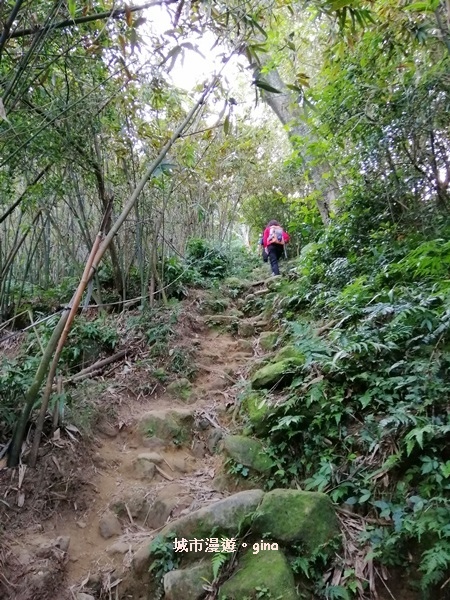 【桃園龍潭】令人崩潰的好漢坡。 No24小百岳~石門山 55