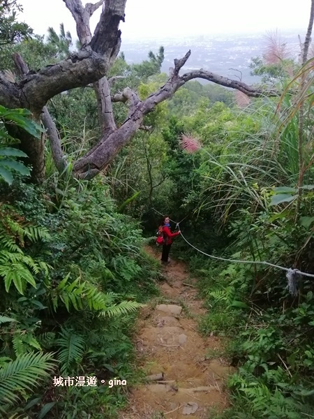 【桃園龍潭】令人崩潰的好漢坡。 No24小百岳~石門山 55