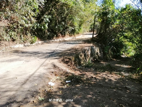 IMG_20191109_101002.jpg IMG_20191109_101002.jpg