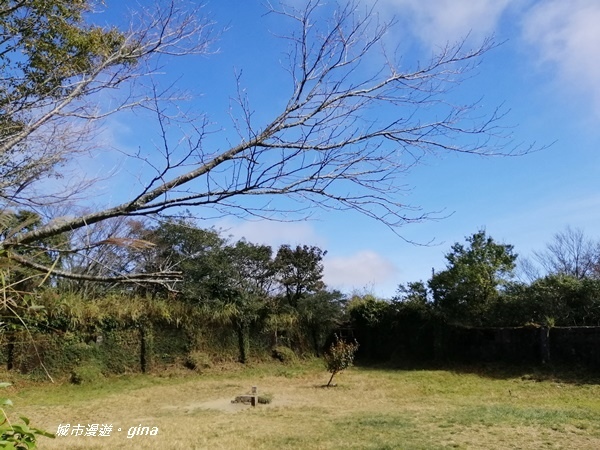 IMG_20191109_095542.jpg IMG_20191109_095542.jpg