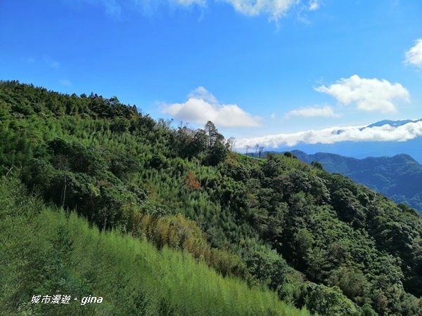 IMG_20191109_095622.jpg IMG_20191109_095622.jpg