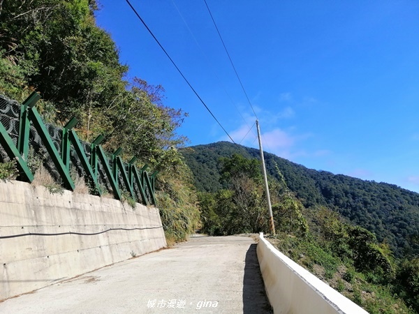 【新竹尖石】獨特的廢墟之美。 No28小百岳 李崠山 191