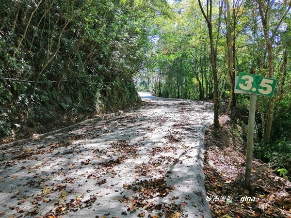 IMG_20191109_103243.jpg IMG_20191109_103243.jpg