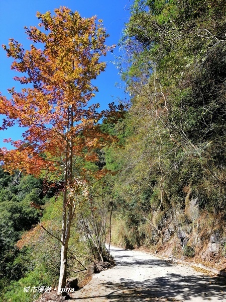 IMG_20191109_103205.jpg IMG_20191109_103205.jpg