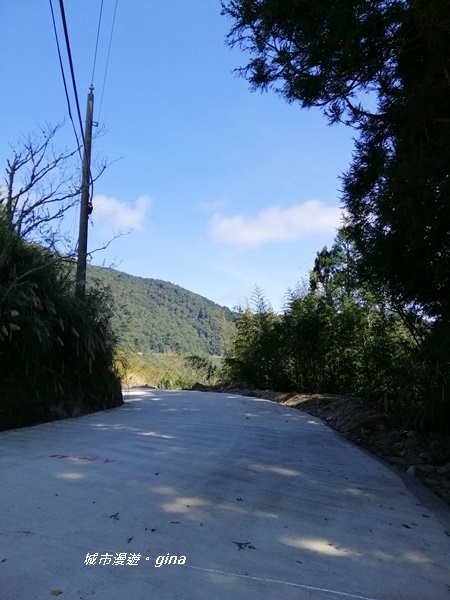 IMG_20191109_104920.jpg IMG_20191109_104920.jpg