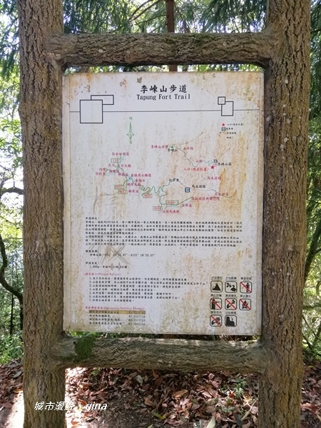 【新竹尖石】獨特的廢墟之美。 No28小百岳 李崠山 191