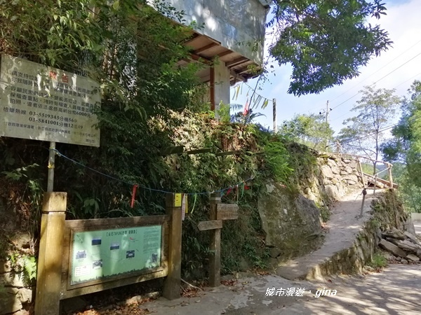 IMG_20191109_105531.jpg IMG_20191109_105531.jpg