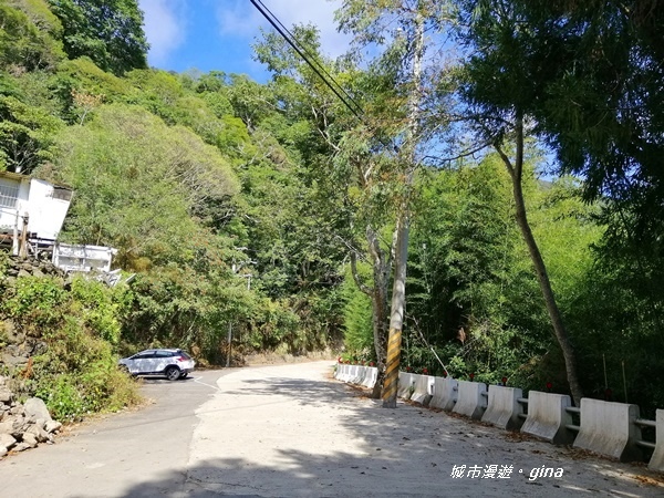 IMG_20191109_105605.jpg IMG_20191109_105605.jpg