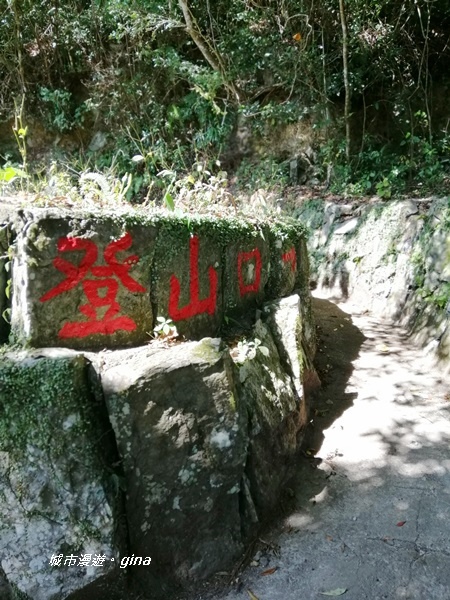 【新竹尖石】獨特的廢墟之美。 No28小百岳 李崠山 191