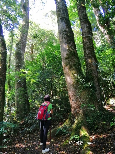 IMG_20191109_112305.jpg IMG_20191109_112305.jpg