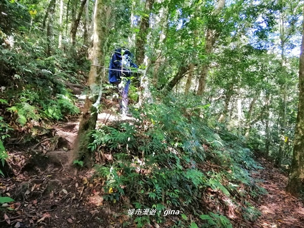 IMG_20191109_111222.jpg IMG_20191109_111222.jpg