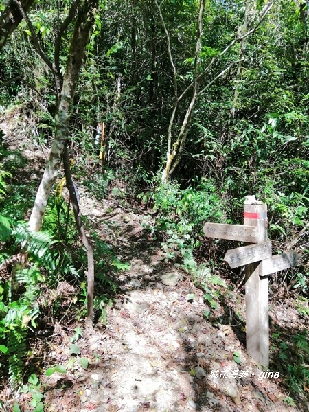 IMG_20191109_113629.jpg IMG_20191109_113629.jpg