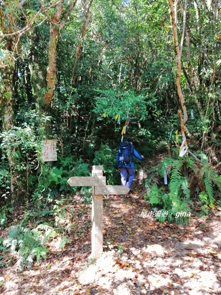 IMG_20191109_113348.jpg IMG_20191109_113348.jpg