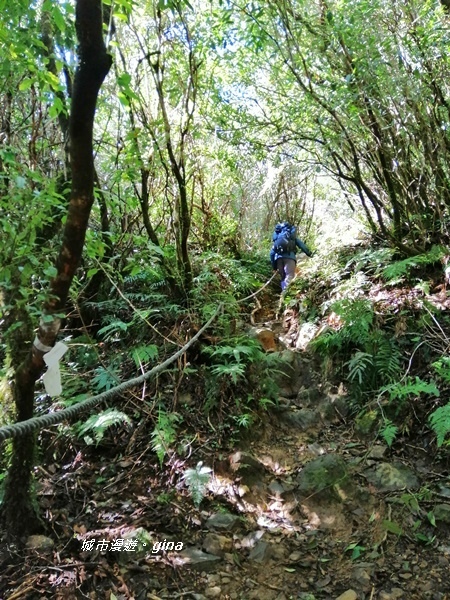 IMG_20191109_120444.jpg IMG_20191109_120444.jpg