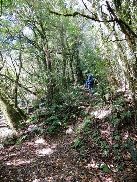 IMG_20191109_115606.jpg IMG_20191109_115606.jpg