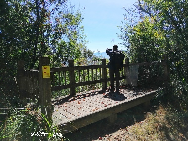 IMG_20191109_121203.jpg IMG_20191109_121203.jpg