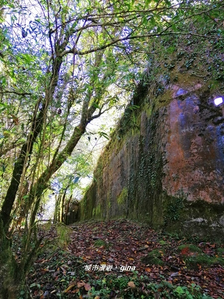 IMG_20191109_121737.jpg IMG_20191109_121737.jpg