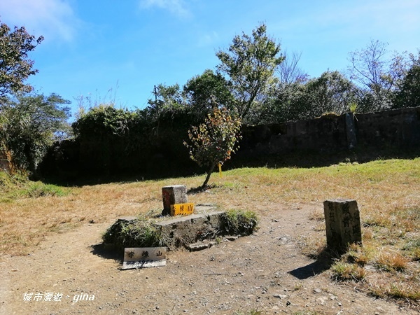 IMG_20191109_122537.jpg IMG_20191109_122537.jpg