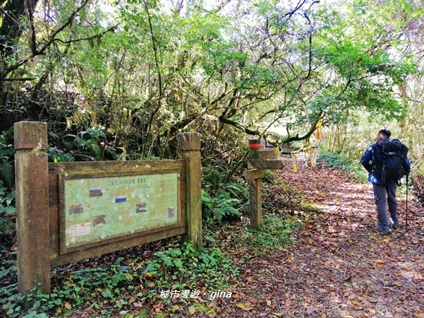 【新竹尖石】獨特的廢墟之美。 No28小百岳 李崠山 191