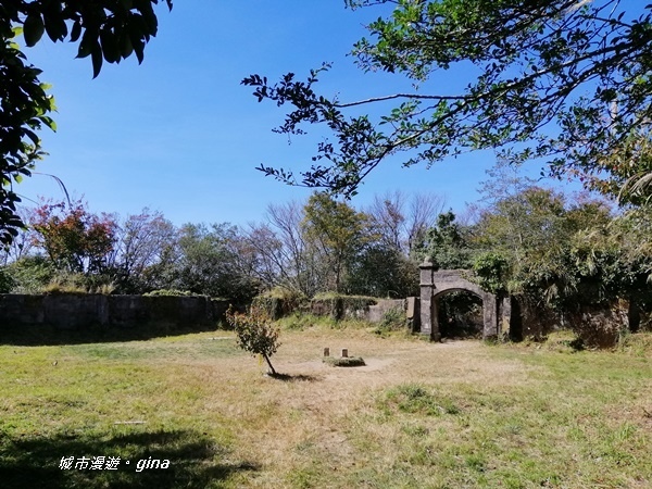 IMG_20191109_123141.jpg IMG_20191109_123141.jpg