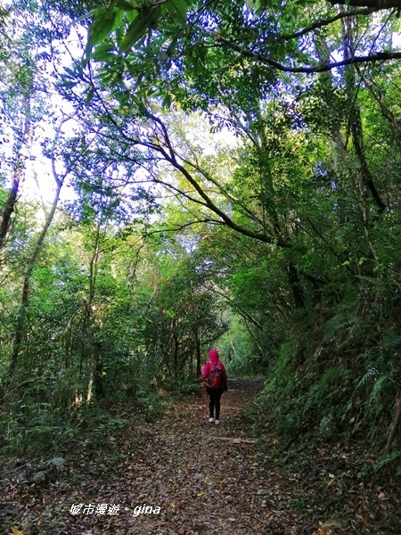 【新竹尖石】獨特的廢墟之美。 No28小百岳 李崠山 191