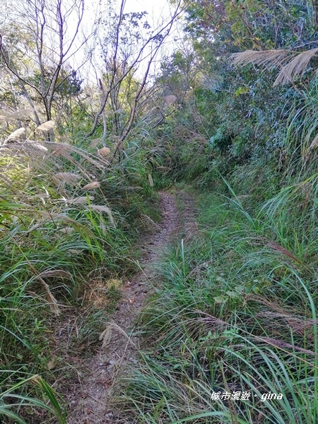 IMG_20191109_134630.jpg IMG_20191109_134630.jpg