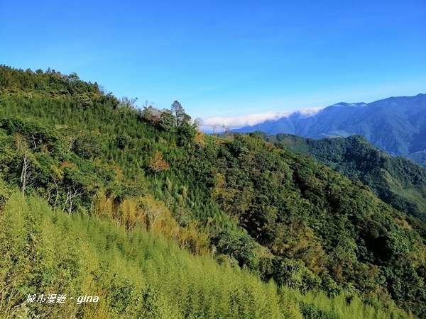 IMG_20191109_142902.jpg IMG_20191109_142902.jpg