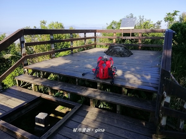 IMG_20191116_110520.jpg IMG_20191116_110520.jpg