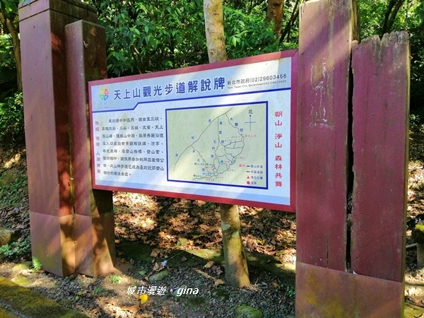 IMG_20191116_132806.jpg IMG_20191116_132806.jpg