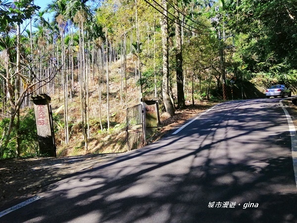 IMG_20191116_132628.jpg IMG_20191116_132628.jpg