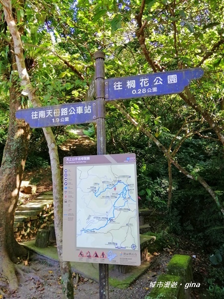 【新北土城】山頂好視野。 No18小百岳天上山 430M