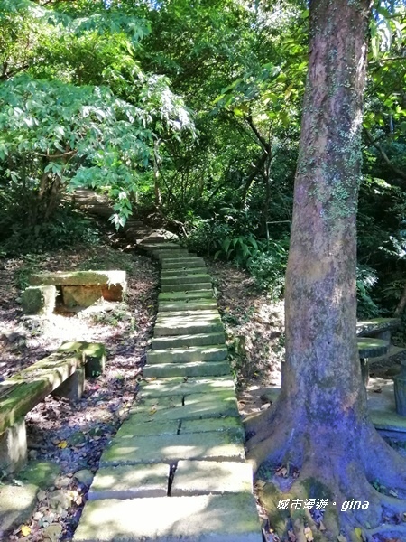 IMG_20191116_132810.jpg IMG_20191116_132810.jpg