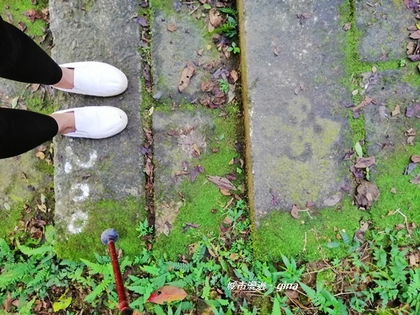 IMG_20191116_133129.jpg IMG_20191116_133129.jpg