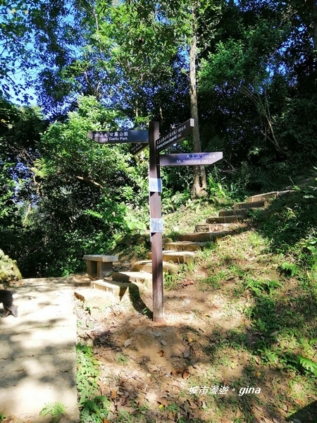 IMG_20191116_133409.jpg IMG_20191116_133409.jpg