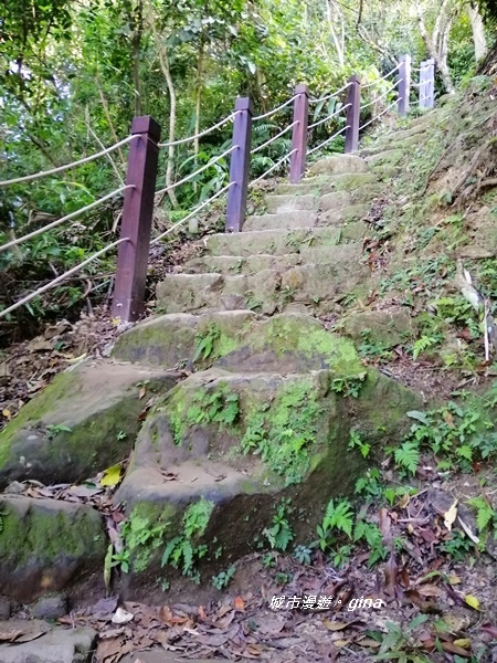 IMG_20191116_134021.jpg IMG_20191116_134021.jpg