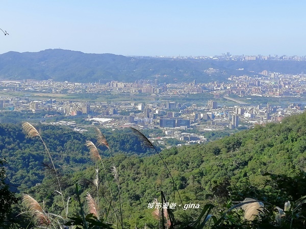 【新北土城】山頂好視野。 No18小百岳天上山 430M