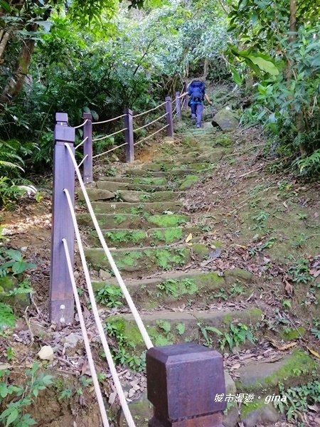 IMG_20191116_133911.jpg IMG_20191116_133911.jpg