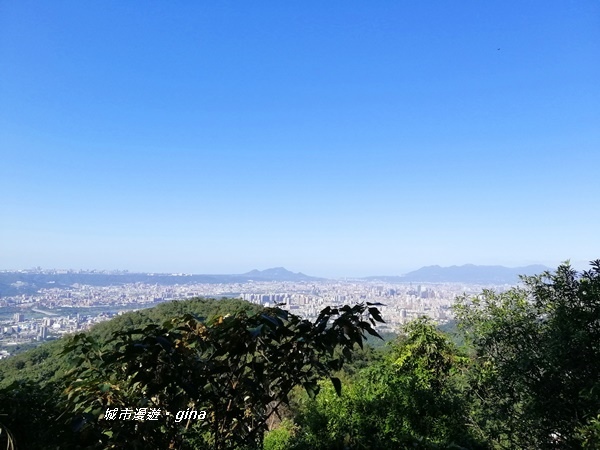 IMG_20191116_134148.jpg IMG_20191116_134148.jpg