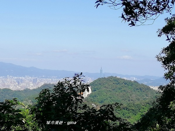 IMG_20191116_134209.jpg IMG_20191116_134209.jpg