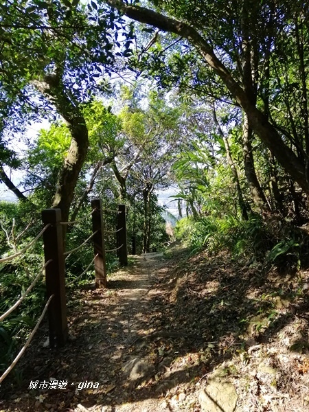 【新北土城】山頂好視野。 No18小百岳天上山 430M