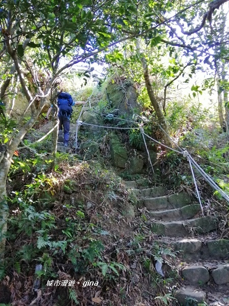 IMG_20191116_135058.jpg IMG_20191116_135058.jpg