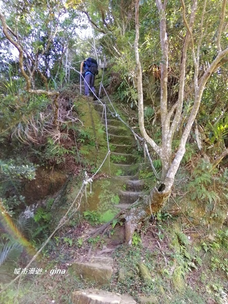 IMG_20191116_134926.jpg IMG_20191116_134926.jpg