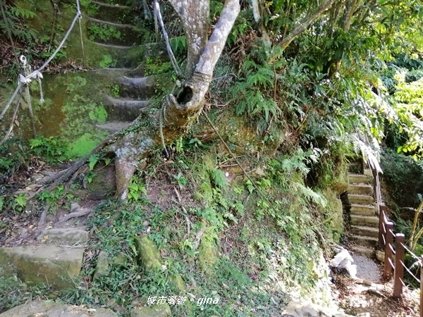 IMG_20191116_134804.jpg IMG_20191116_134804.jpg