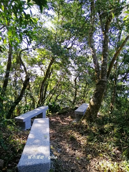 【新北土城】山頂好視野。 No18小百岳天上山 430M