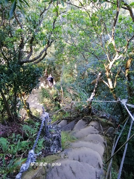 IMG_20191116_142901.jpg IMG_20191116_142901.jpg