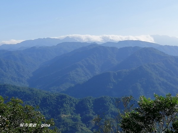 IMG_20191116_142316.jpg IMG_20191116_142316.jpg