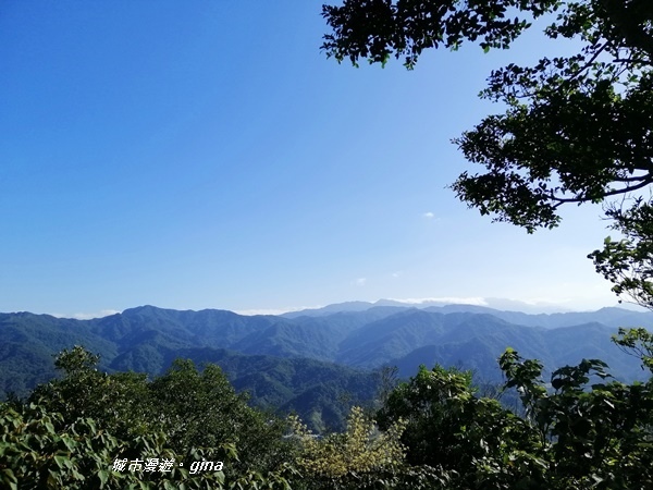 IMG_20191116_135234.jpg IMG_20191116_135234.jpg